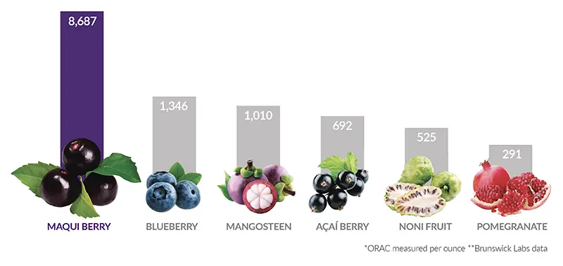 maqui-berry-health-benefits